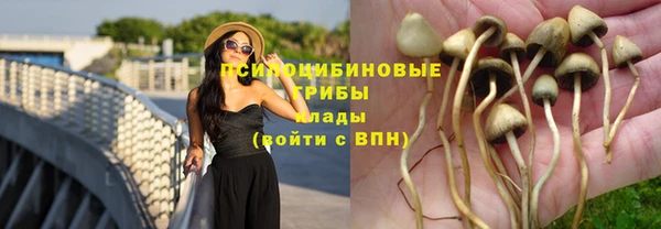 герыч Бугульма