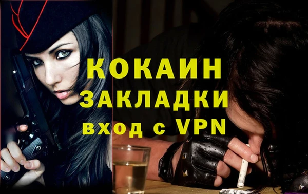 индика Белоозёрский