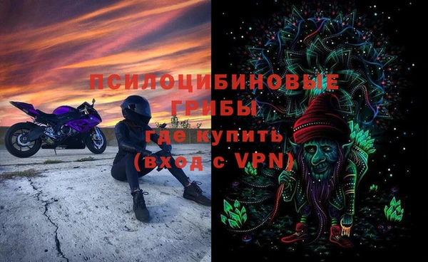 МДПВ Богородицк
